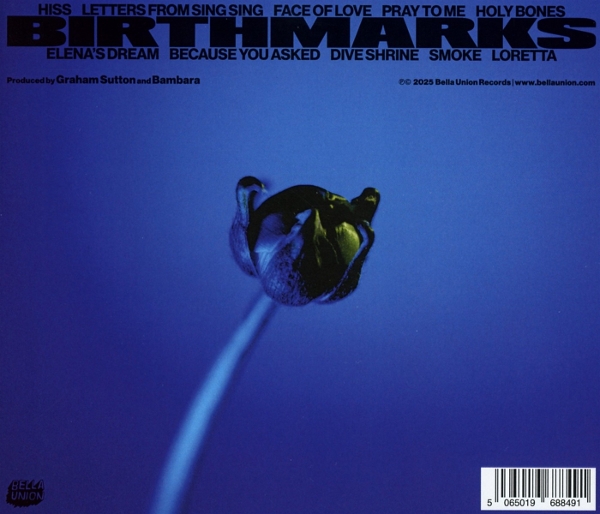 Birthmarks 1