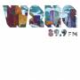 Various - W2NG 89.9FM (Blue Vinyl Edition)