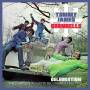 Tommy James And The Shondells - Celebration - The Complete Roulette Rec 1966-1973