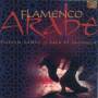 Hossam Ramzy / Rafa El Tachuela - Flamenco Arabe