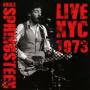 Bruce Springsteen - Live Nyc 1973