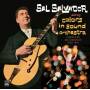 Sal Salvador - Complete Recordings 1958-1964