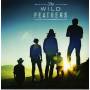 Wild Feathers - Got It Wrong / Marie