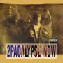 2Pac - 2Pacalypse Now (2 LP)