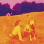 Eels - Blinking Lights And Other Revelations