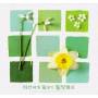 Healing From Whispering With Nature - Healing From Whispering With Nature
