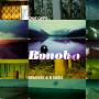 Bonobo - One Offs Remixes & B-Sides (2LP+MP3)