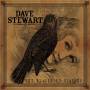 Dave Stewart - Blackbird Diaries