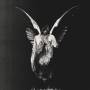 Underoath - Erase Me