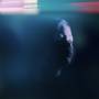 Chasms - GLIMPSE OF HEAVEN (Parallel Pink & Blue Swirl Viny
