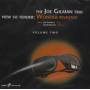 Joe Gilman - View So Tender: Wonder Revisited 2