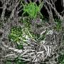 Worm - Gloomlord (Jewel Case)