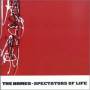 The Names - Spectators Of Life