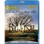 Albert Finney, Steve Buscemi, Helena Bonham Carter, Jessica - Big Fish - Der Zauber, Der Ein [EURO-Version, Regio 2]