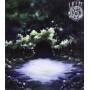 Wight - Through The Woods Into Deep Water