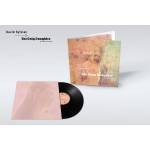 david Sylvian - The Good Son vs The Only Daughter (Blemish Rmx LP)