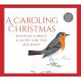 Traditional / Cantores - A Caroling Christmas