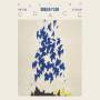 Romain Pilon / Joni Zelnik / Jeff Ballard - Falling Grace