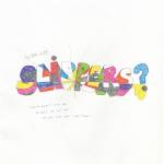 Slippers - SO You Like Slippers?