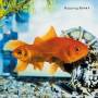 Robbing Banks - This & That -10-