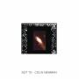 Colin Newman - Not to