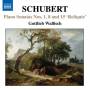 Gottlieb Wallisch - Klaviersonaten 1,8+15