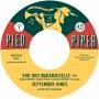 Tony Hester - Just Can't Leave You (7 Single)