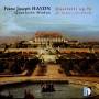 Quartetto Modus - Quartette op.76
