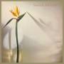 New Musik - From a to B
