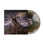 Vulvodynia - Entabeni (Iris Burst)