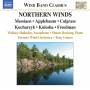 Tony Gomes / Toronto Wind Orchestra - Northern Winds