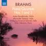 Barakhovsky / Zemtsov / Schmidt / Nebolsin - Klavierquartette 1+3