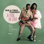 Ike & Tina Turner - A Fool Of Love