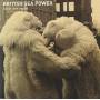 British Sea Power - Facts Are Right