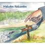 Malcolm Holcombe - Down The River