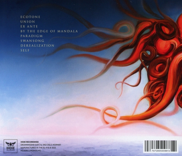 A Swan By The Edge Of Mandala 1