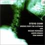 Steve Cohn - Bridge Over The X-stream