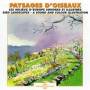 V / a - Bird Landscapes: Sound & Colour