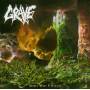 Grave - Into The Grave