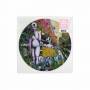Indigo De Souza - Any Shape You Take (Picture Disc)