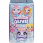 Spin Master International B.v. - Hatchimals Colleggtibles -Water Hatch Fa