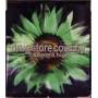Drug Store Cowboy - Flowers High