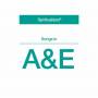 Spiritualized - Songs in A&E