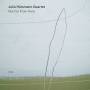 Julia Hlsmann Quartet - Not Far From Here