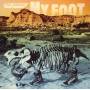 Pillows - My Foot