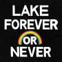 Lake (Us) - Forever Or Never