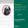 Howard Shelley / Ulster Orchestra - Romantic Piano Concerto Vol. 84
