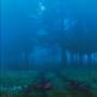 Various - Commune