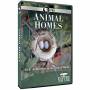 Nature: Animal Homes - Nature: Animal Homes [US-Version, Regio 1]