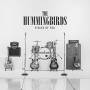 Hummingbirds - Pieces Of You